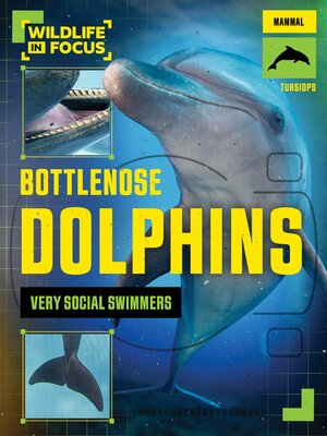 cover image of Bottlenose Dolphins